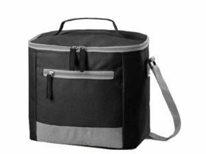 Hudson Lunch Cooler Bag