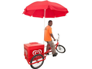 Ice-Cream Cooler Box