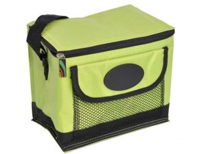 Icool 6 Pack Cooler Bag