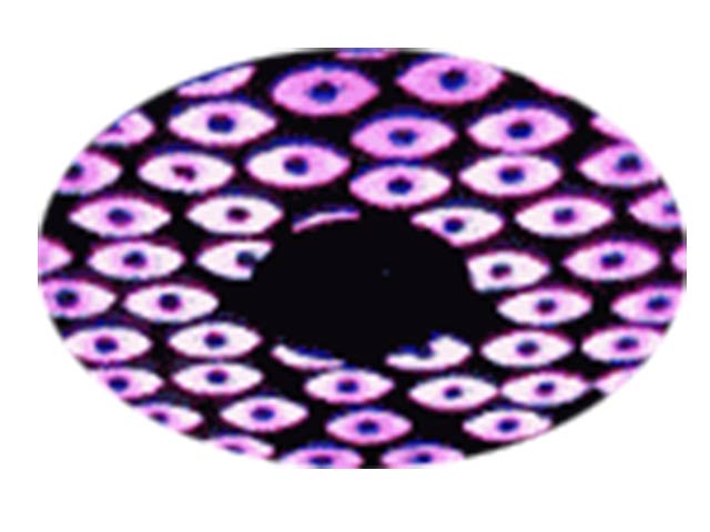 Intelligent LED Fan