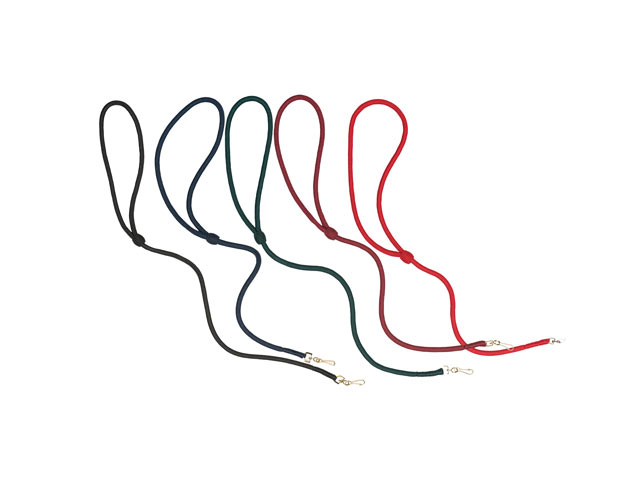 Lanyard