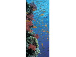 Marine Life Mag Mark
