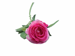 Open Lrg Rose Pink 50Cm