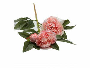 Peonie Light Pink 3 Stems 70Cm