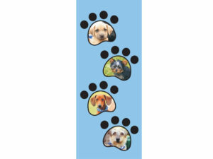Pets Mag Mark