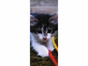 Pets Mag Mark