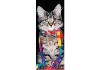 Pets Mag Mark