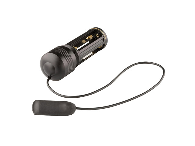 Remote Switch