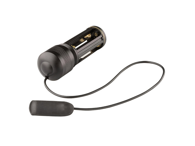 Remote Switch