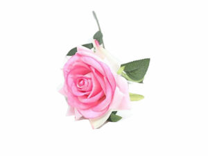 Rose Stem Pink 60Cm