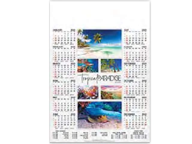 Single Leaf Medium (A2) Wall Calendar Posters
