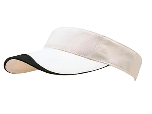 Sun Visor
