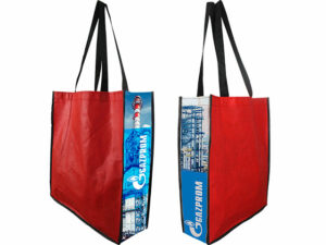 Tammy Gusset Shopper