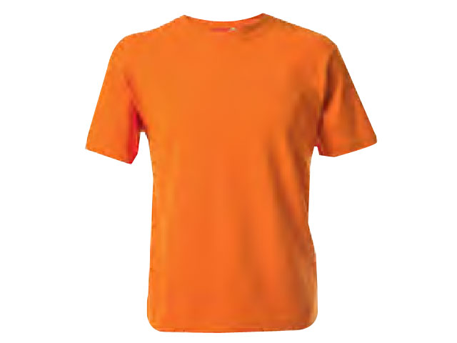 The 100% Original Tee Shirt