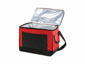 The Pioneer 12 can cooler