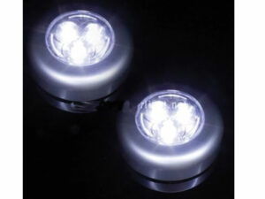 Torch light