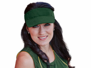 Wing Visor