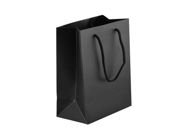 230Gsm Matte Gift Bag - 23Cm