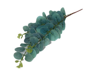 Pennygum Blue/Green 85Cm