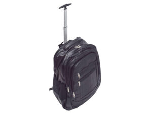 Detachable Trolley Laptop Backpack