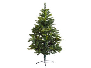 Tall Evergreen Christmas Tree
