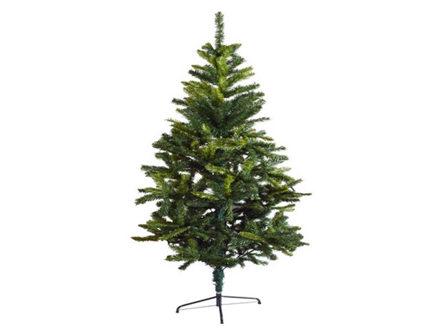 Tall Evergreen Christmas Tree