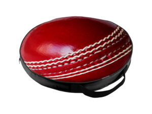 Cricket Sublimated Studium Cushion