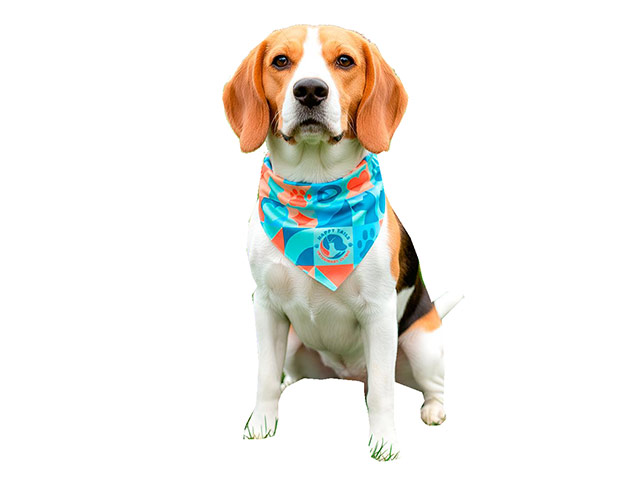 Hoppla Tyson Small Polyester Dog Bandana